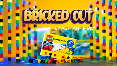 Bricked Out | Aethan Friday