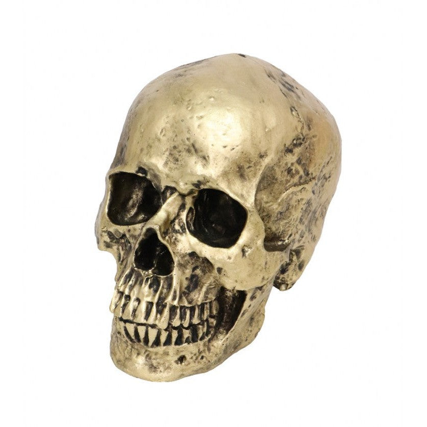 Cráneo de bronce fabricado en resina | chaques de 18cm Deinparadies.ch