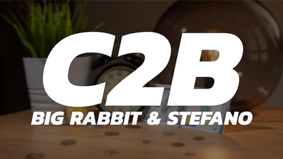 C2B by Big Rabbit & Stefano - Video Download Sanchad Inta bei Deinparadies.ch
