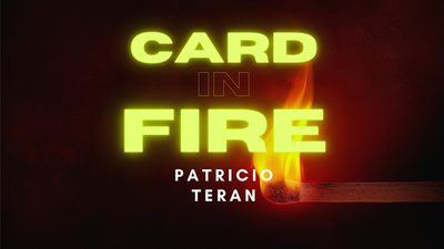Card in Fire by Patricio Teran - Video Download patricio antonio teran mora bei Deinparadies.ch