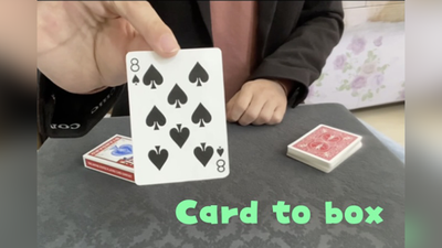 Card to Box by Dingding - Video Download Dingding at Deinparadies.ch