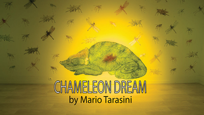 Chameleon Dream by Mario Tarasini - Video Download Marius Tarasevicius bei Deinparadies.ch
