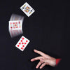 Change in Flight | Flipkarte-Difatta Magic-Deinparadies.ch