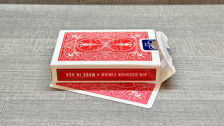 Coincidence | Patricio Teran and JT Magic (Red)-Jia Tianshi-Deinparadies.ch