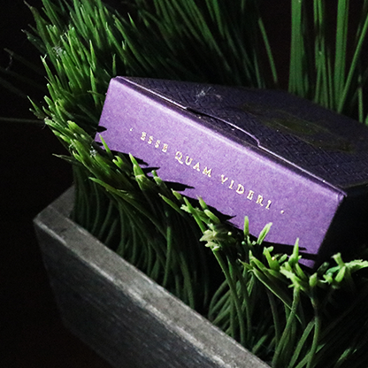 DMC Alpha V3 (Purple) Portcullis with Online Instructions-Deinparadies.ch-Deinparadies.ch