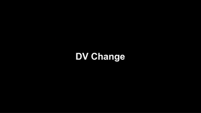 DV Change by David Luu - Video Download Luu Duc Hieu bei Deinparadies.ch