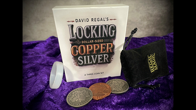 David Regal's Locking DOLLAR-SIZED Copper Silver-Blue Bikes Prods - David Regal-Deinparadies.ch