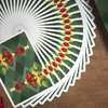 Diamon Playing Cards N° 24 | Dutch Card House Company-Deinparadies.ch-Deinparadies.ch
