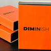 Diminish | Damian Surr-Deinparadies.ch-Deinparadies.ch