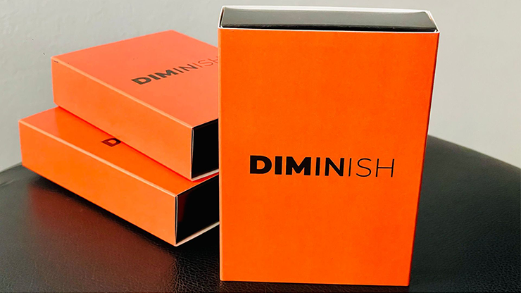 Diminish | Damian Surr-Deinparadies.ch-Deinparadies.ch