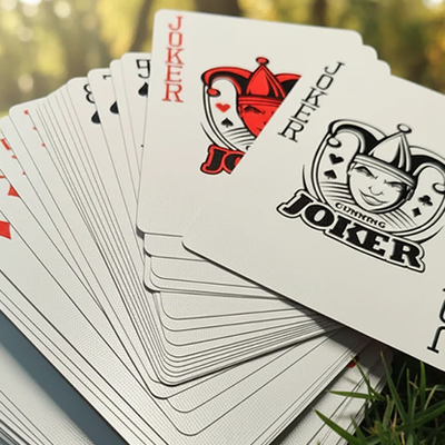 Disobedience Playing Cards | WohStudios-David Jon-Deinparadies.ch
