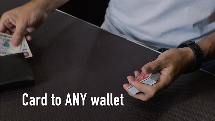 Divisa | Adrian Vega-Crazy Jokers-Deinparadies.ch