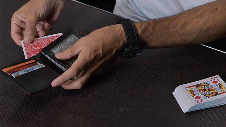 Divisa | Adrian Vega-Crazy Jokers-Deinparadies.ch