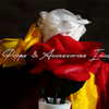 Dream Rainbow | Leon & MS Magic-Lee Jah Bond-Deinparadies.ch