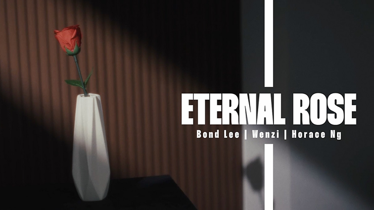 Eternal Rose | Bond Lee