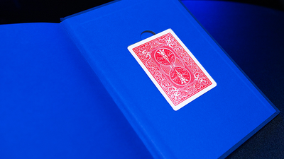 Evidence of a Well Spent Life | Helge Thun-Vanishing Inc.-Deinparadies.ch