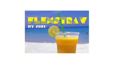 Flex Straw by Zihu - - Video Download ZiHu bei Deinparadies.ch