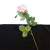 Floating Rose | Schwebende Rose