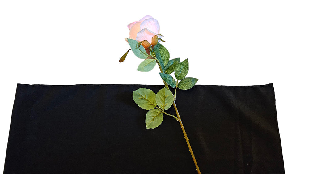 Floating Rose | Schwebende Rose
