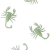 Fluoreszierende Skorpione-Guirca-Deinparadies.ch