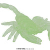 Fluoreszierende Skorpione-Guirca-Deinparadies.ch