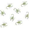Fluoreszierende Skorpione-Guirca-Deinparadies.ch
