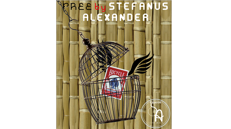 Free by Stefanus Alexander - Video Download Bear Magic Shop bei Deinparadies.ch