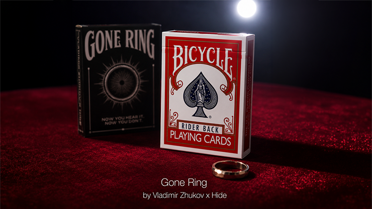 Gone Ring (Red) | Vladimir Zhukov x Hide-Sergey Koller-Deinparadies.ch