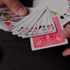Hand Picked Astonishments INVISIBLE DECK RED with Joshua Jay | Murphy's Magic-Murphy's MISC-Deinparadies.ch