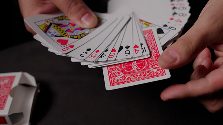 Hand Picked Astonishments INVISIBLE DECK RED with Joshua Jay | Murphy's Magic-Murphy's MISC-Deinparadies.ch