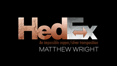 Hedex | Matthew Wright-Marvelous-FX Ltd-Deinparadies.ch