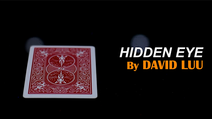 Hidden Eye by David Luu - Video Download Luu Duc Hieu bei Deinparadies.ch