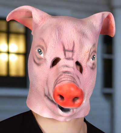 Mister Pig head mask pig