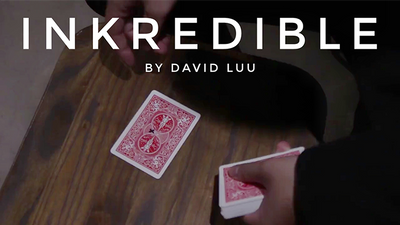 INKredible by David Luu - Video Download Luu Duc Hieu bei Deinparadies.ch