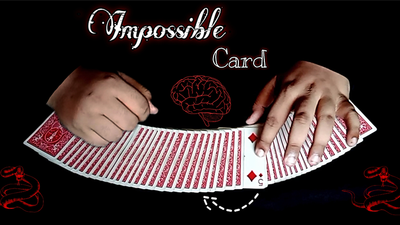 Impossible CARD by Viper Magic - Video Download Viper Magic bei Deinparadies.ch