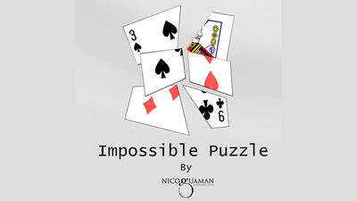 Impossible Puzzle by Nico Guaman - Mixed Media Download Nicolas Guaman Gavilan bei Deinparadies.ch