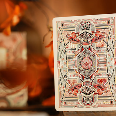 Kite Playing Cards | ARK-TCC Presents-Deinparadies.ch