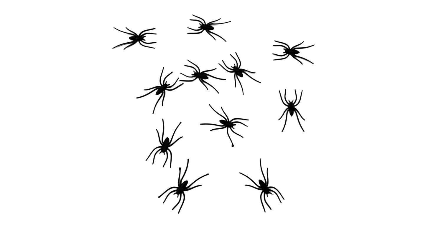 Petites araignées dans un ensemble de 50 pièces | Chaks de 3,5 cm à Deinparadies.ch