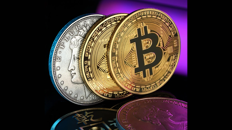 LCC Pro Max | N2G-N2G-Deinparadies.ch