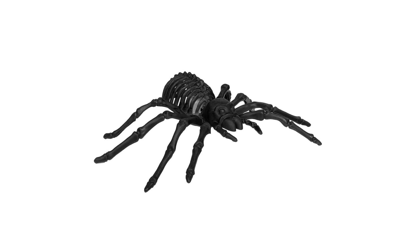 Esqueleto de araña LED 22cm Boland en Deinparadies.ch