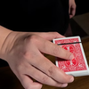 LINER | Bond Lee, Alexander Stefanus & MS Magic (Red)-Lee Jah Bond-Deinparadies.ch