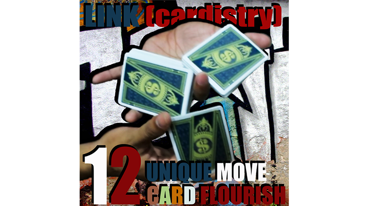 LINK (Cardistry Project) by SaysevenT - Video Download SaysevenT bei Deinparadies.ch