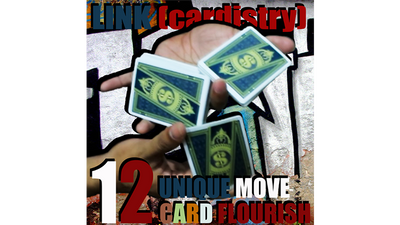 LINK (Cardistry Project) by SaysevenT - Video Download SaysevenT bei Deinparadies.ch