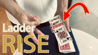 Ladder Rise by Owen - Video Download Yuanzi Chen Owen bei Deinparadies.ch