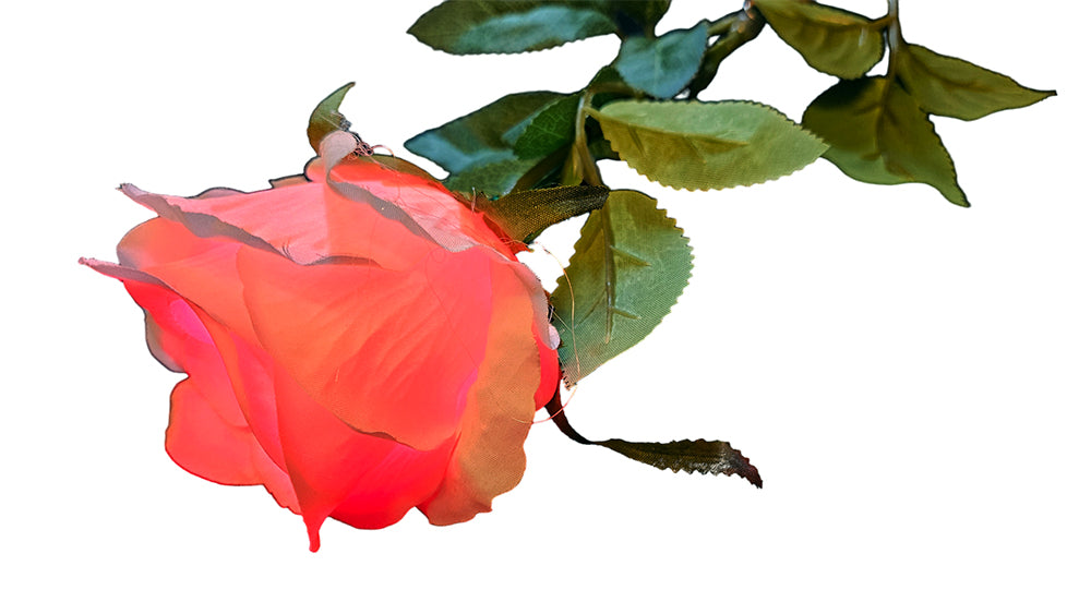 Leuchtende Rose | LED Rose