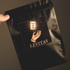 Levitas 2.0 | Jack Nobile and Piero Puddu-Giacomo Nobile Prestigiatore-Deinparadies.ch