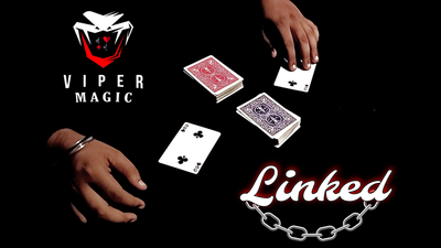 Linked | Viper Magic - Video Download Viper Magic bei Deinparadies.ch