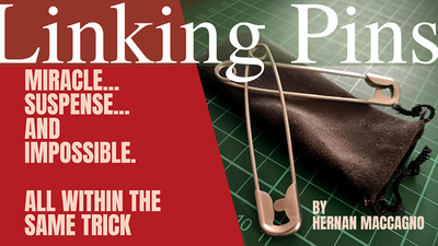 Linking Pins | Hernan Maccagno-Deinparadies.ch-Deinparadies.ch