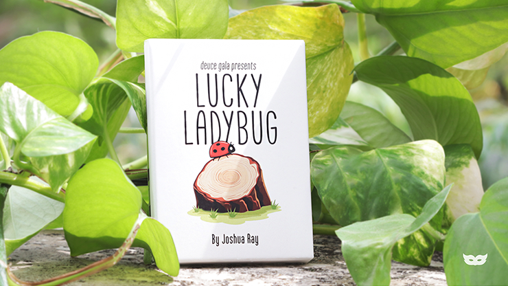 Lucky Ladybug (Leaf) | Joshua Ray & Deuce Gala Magic-Deuce Gala Magic LLC-Deinparadies.ch