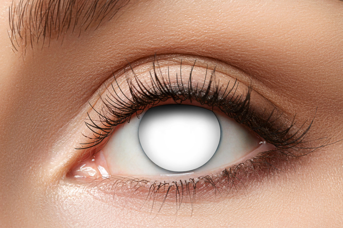 Contact lenses blind seer